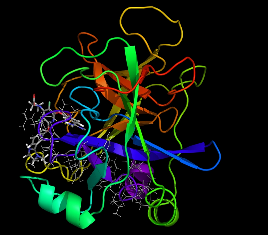 Small Molecule Drug Discovery