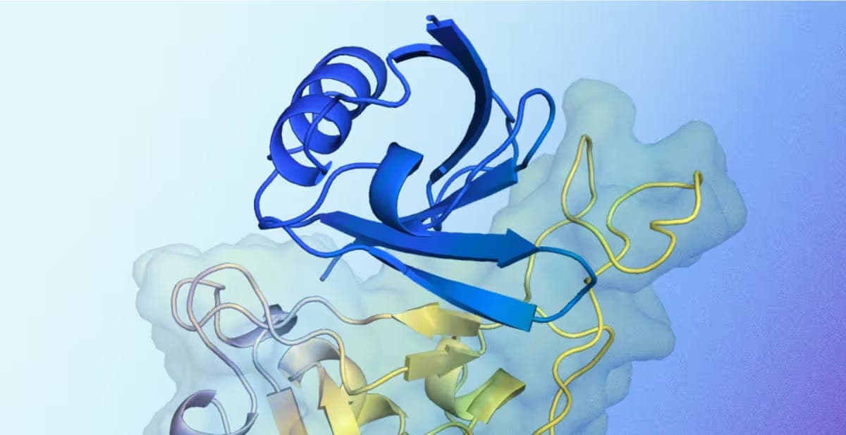 Medvolt Blog Image